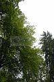 tannenfeld-sommer 2012-084